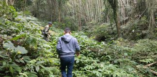 被遺忘的水源,台灣偏鄉部落的先祖產業