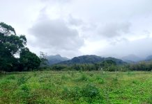 復興-五公里的水源路|我們的家,恢復最起初的美好