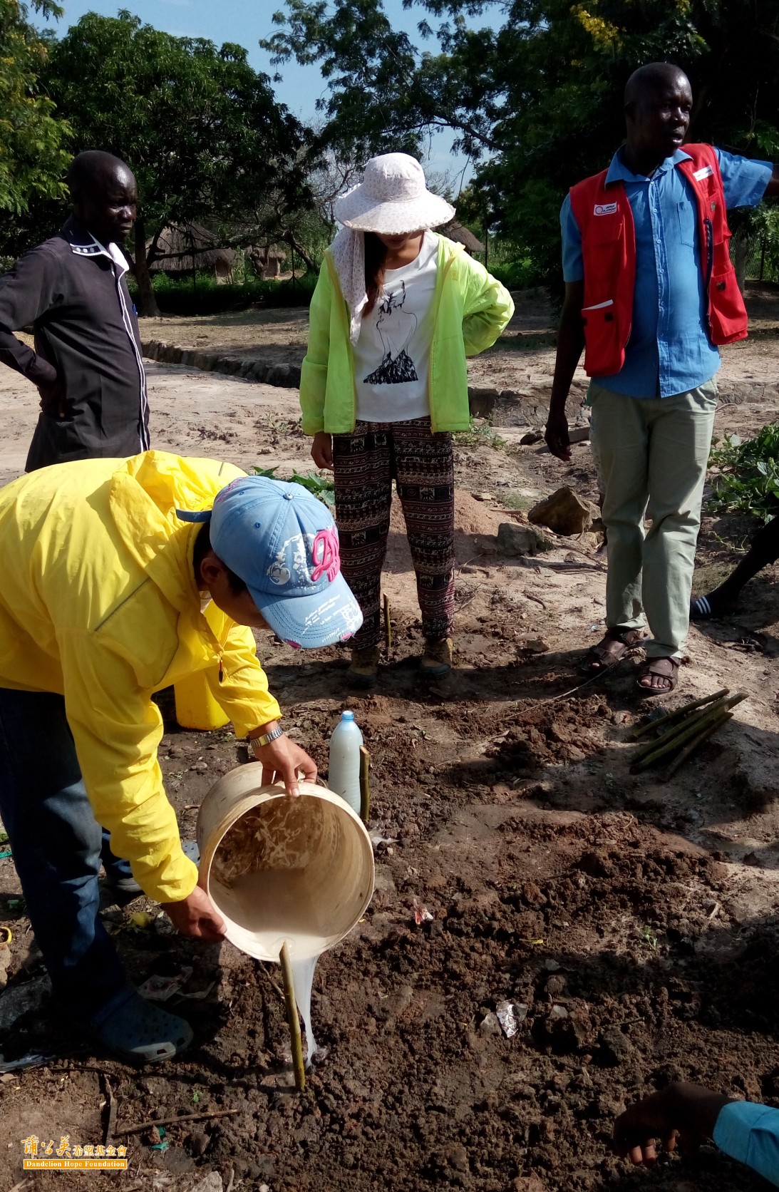 ▲教導難民們將日用廢水收集起來，澆灌於桑樹之中